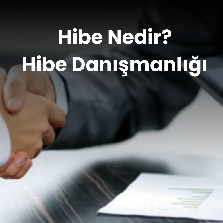 Hibe Nedir? Hibe Danışmanlığı ve Kalkınma Ajansları