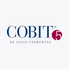 COBIT Eğitimi