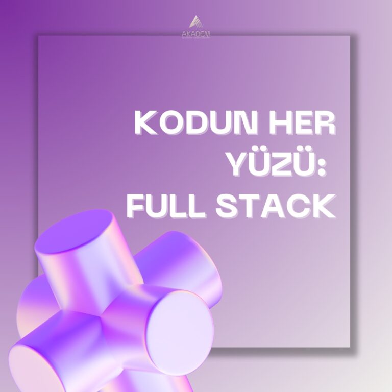 full stack developer